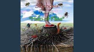 Halo of Flies