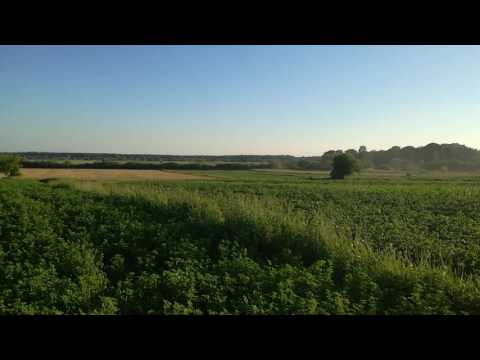 Săgeată albastră - tren REGIO - Satu Mare ~ Micula Hm ~ Halmeu