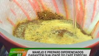 Manejo e preparo diferenciados garantem qualidade do café especial