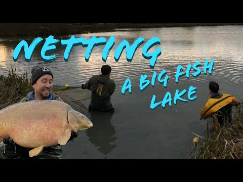 Netting a Big Fish Lake.