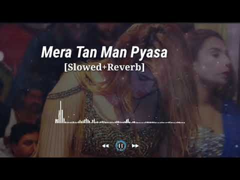 MERA TAN MAN PYASA (MUJRA) SLOWED & REVERB