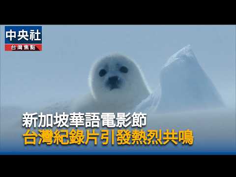 youtube影片