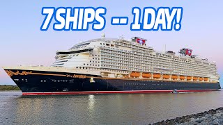 RARE 7 Ship Monday in Port Canaveral! 🚢 | Epic Cruise Ship Spotting