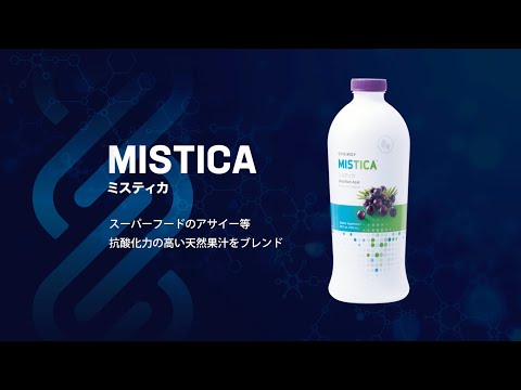 園芸 Lysimachus numularis、Herbe aux écus