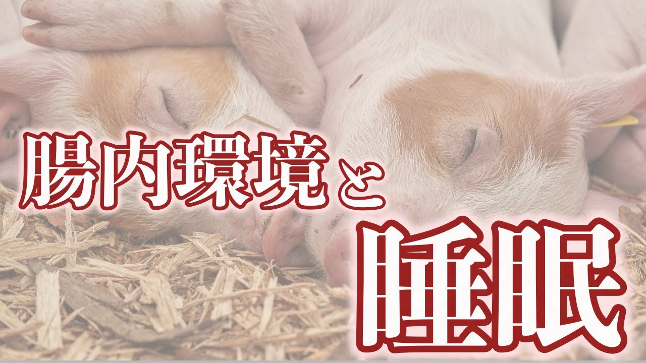 腸内環境と睡眠の関係　【熟睡と食の関係を考える】