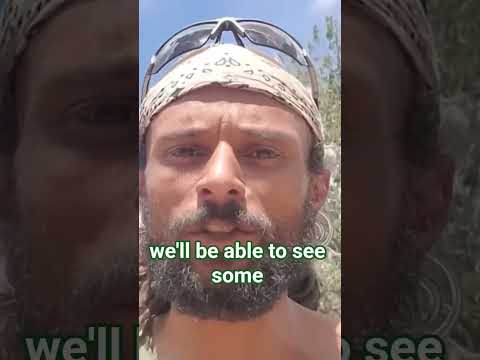 Permaculture Drought Strategy: Water Management Solutions