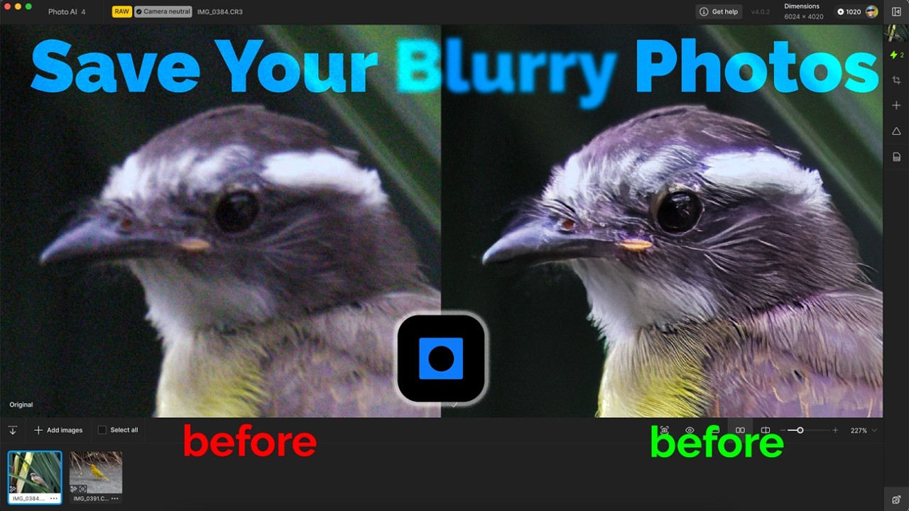 Topaz Photo AI Review 🦜 Bird Photography Tutorial w/my Canon R100 &amp; RF-S55-210mm Lens video thumbnail