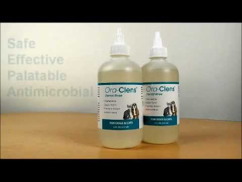 Ora-Clens Dental Rinse for Dogs & Cats (8 fl oz) Video