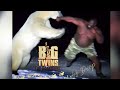 Big Twins Feat. Big Noyd, Craig G, Mobb Deep (Havoc & Prodigy) , Capone (Of CNN) - The Basement