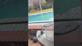 Download lagu Tsunami warning after earthquake rocks California mp3