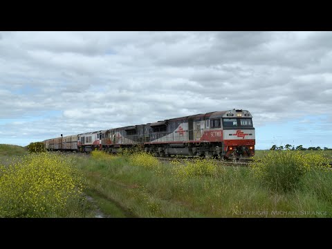 1MP9 SCT Freight With Boxcars & Containers (11/10/2020) - PoathTV Australian Trains & Railways