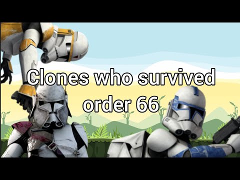 Star Wars Clone troopers who survived order 66