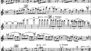 Shostakovich Violin Concerto No. 1 Op. 99 (I. Nocturne)(Hilary Hahn)