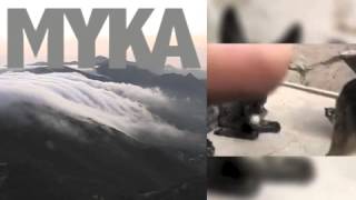 Myka Baby Donkey First Saturday at Home