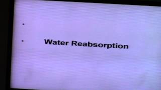 7-[kidney] Dr.Mona Aziz (Water Reabsorption -till Vasa recta) 10/3/2016