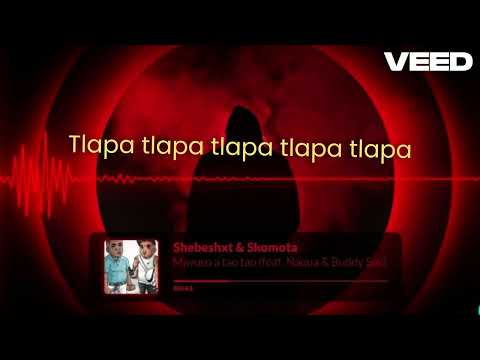 MAVUSO A TAO TAO LYRICS (Shebeshxt & Skomota)