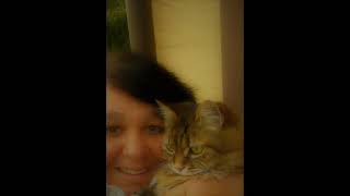 *Melody Gardot..    *Se voce me ama..**