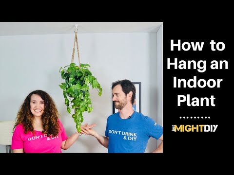 image-What kind of hook do I need to hang a plant from the ceiling?