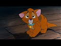 The Cat King 1994 Part 9 The Stampede O Malley S Death Oliver S Exile