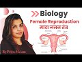 Female Reproduction मादा जनन तंत्र Biology Live Class By Priya Ma Am