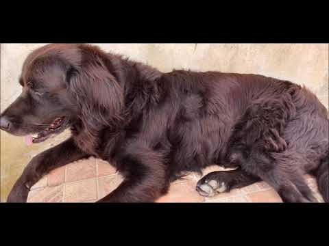 Apartmants Francisko Metajna Part 2