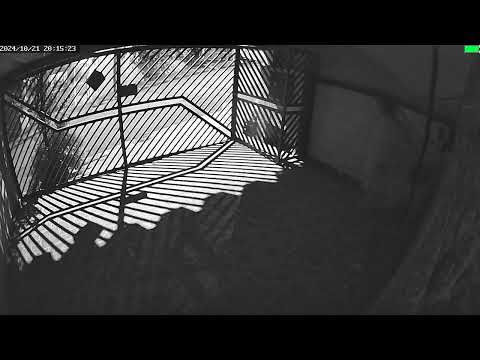 Gravação moto empinando discussão