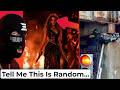 Nobody Can Explain What S Going On In These Videos