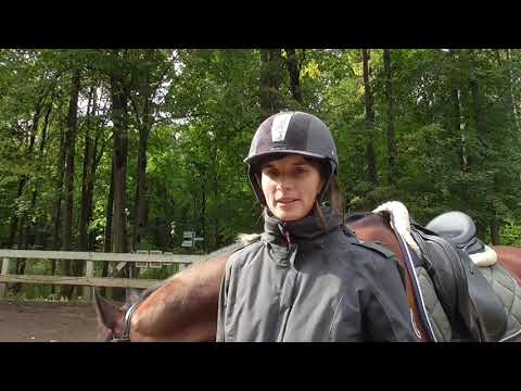 Учебная рысь и строевая рысь. Экипировка лошади для верховой езды. Правильный посыл лошади. Посадка всадника на галопе. Палтрашка ашипка сайдник.