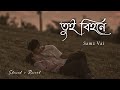 Tui Bihone - তুই বিহনে - Samz Vai (Slowed + Reverbed) - ROJIT SLOWED MUSIC ||