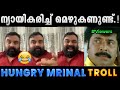 മൃണാലിന് പിടിച്ച പുലിവാല് Troll Video Mrinal S Blog Hu