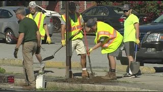 Volunteers 'Making Page Boulevard Beautiful' in Springfield