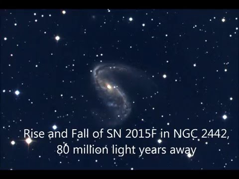 The Rise and Fall of Supernova 2015F
