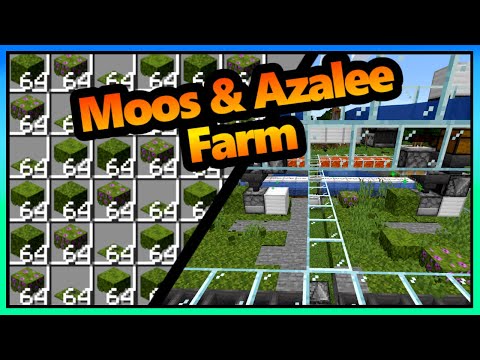 Moos & Azalee Farm| 11.000 Items pro Stunde | 1.21+