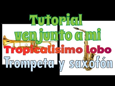 Ven Junto A Mí - Tropicalísimo Lobo