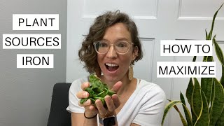 How to increase iron on plant-based diet