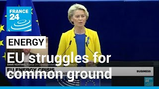 EU leaders struggle for common ground on energy prices • FRANCE 24 English