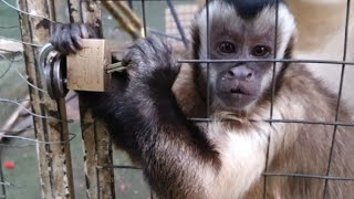 What a maddieFUL day .......