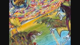 Ozric Tentacles - Shaping the Pelm.wmv