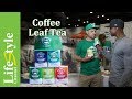 LifeStyle Eat Coffee Leaf Tea Wize Monkey
