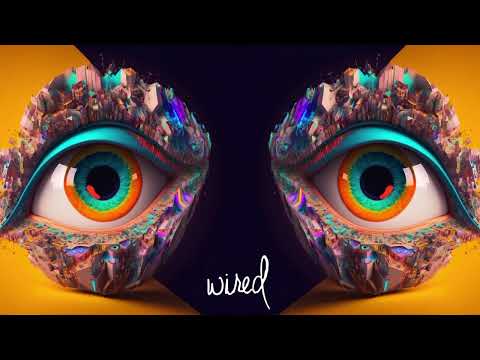 James Mac - Mamba (Original Mix) [Wired World] | Visualizer