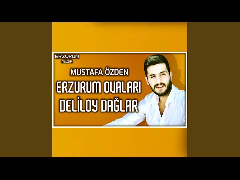 Erzurum Ovaları Deliloy Dağlar (Erzurum Halayları)