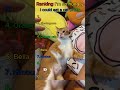 Ranking I M So Hungry I Could Eat A Cat Prank