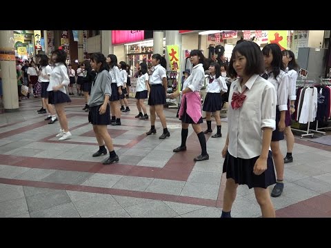 県立柏高校 ダンス部 サプライズダンス