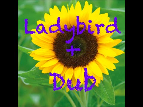Srisawaard - Ladybird + dub #reggae #dub