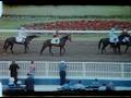 America In Color Horse Racing At Hialeah Park 1960s Home Movie