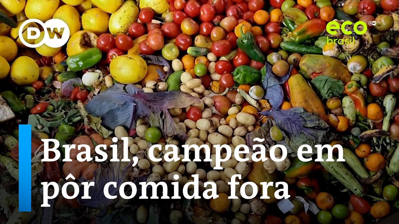 Quanto o desperdício de alimento custa ao Brasil? | Eco Brasil