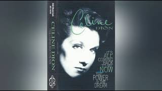 Celine Dion - It's All Coming Back To Me Now (Amnesia Mix) [M4A]