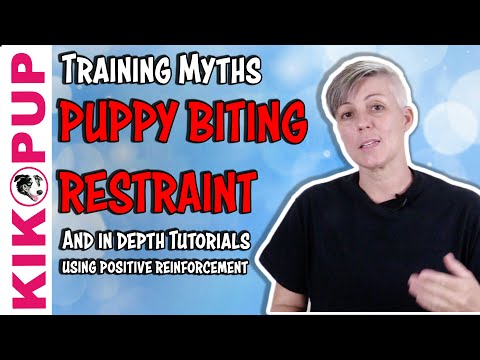 What is Clicker Training