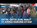 NGERI DETIK DETIK DUEL Maut Di Arena Sabung Ayam Bali Korban Tewas Kena Sabetan Sajam