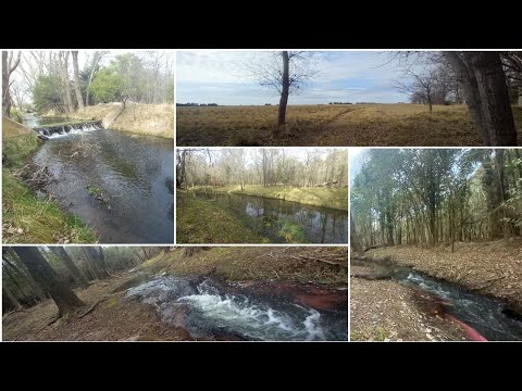 Camping Municipal La Chacra - Carhué